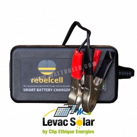 Chargeur batterie lithium 29.4V 14A - Levac solar