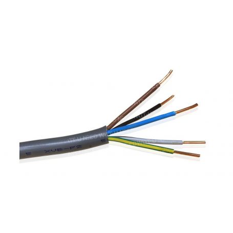 Câble XVB 5G6 - 1m