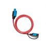 Câble allonge Victron 2m pour Blue Power IP 65