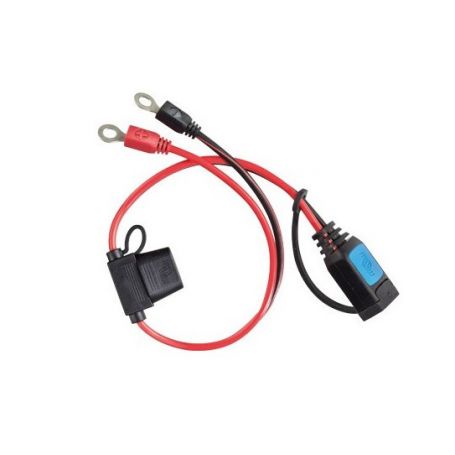 Connecteur à oeillet M6 Victron